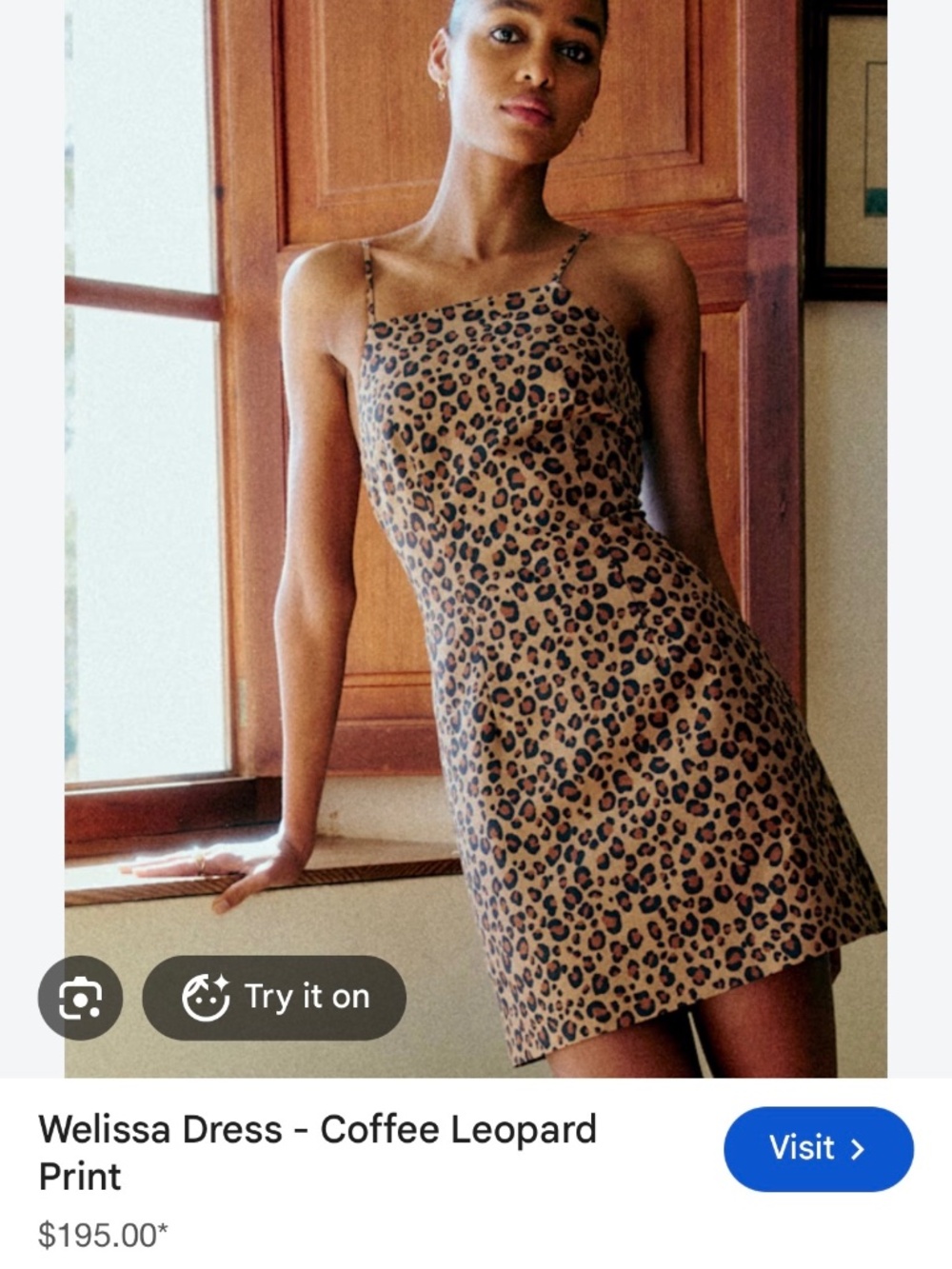 Sezane Leopard Welissa Dress